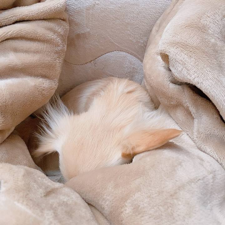 47d14bbb d39e 4c7f 85cd cc1662b64e4f 1609989539831