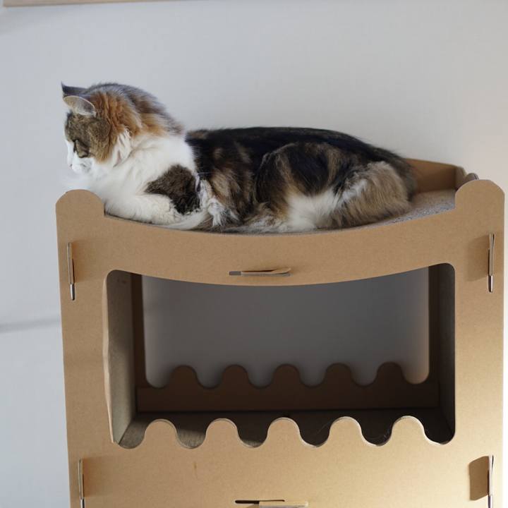 47d14c8c 0ef8 4fb6 a0be 8130d7f6fd3f 1581652111049