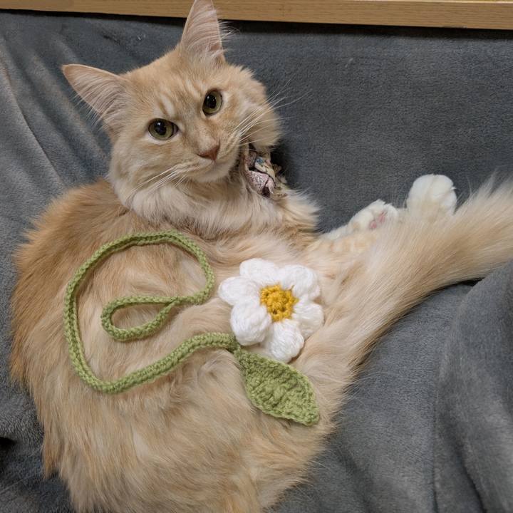 47d1535e 1c42 4433 b9ea 434ff4b2ccdd 1768484254505