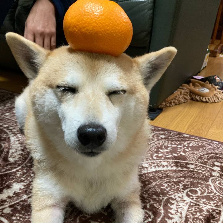 47d1988f f2cb 4982 914b 62e4392b871a 1611723822168