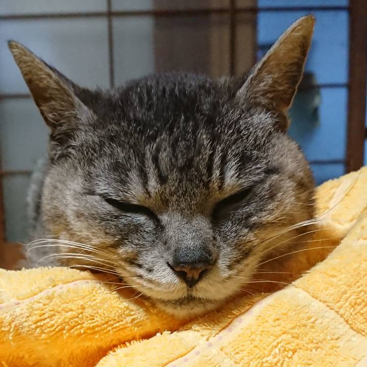 47d1ed61 fc46 406c b46a 7707b267f8b1 1590660028459