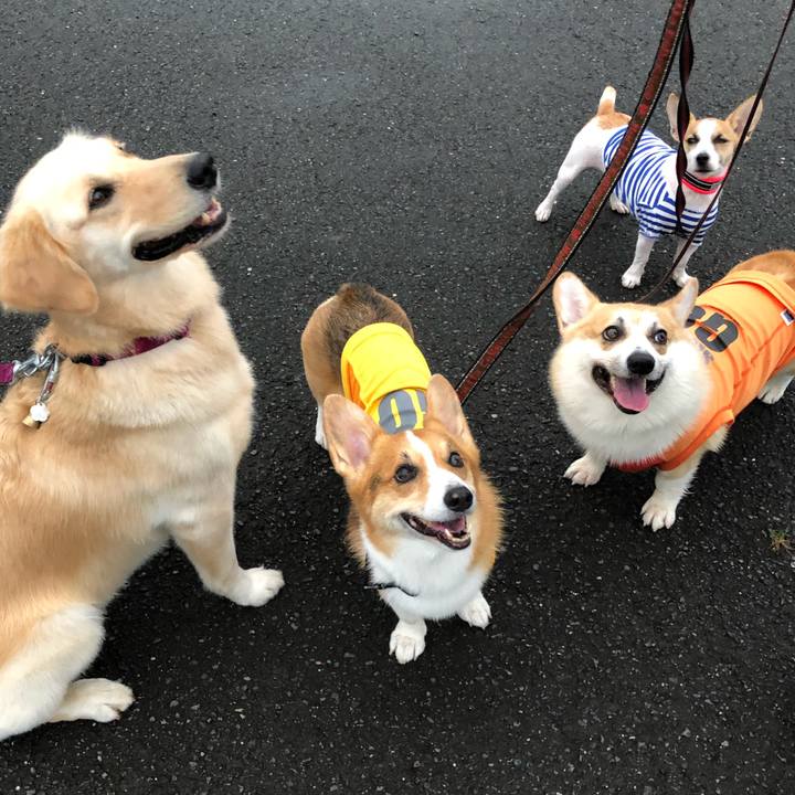 47d20353 2429 459e 9a58 c21ee0187dab 1566262171805