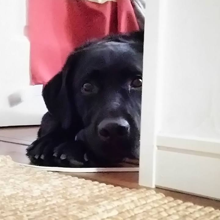 47d20cbc f24c 4df7 883f b5fc3f9a0de9 1691810288232