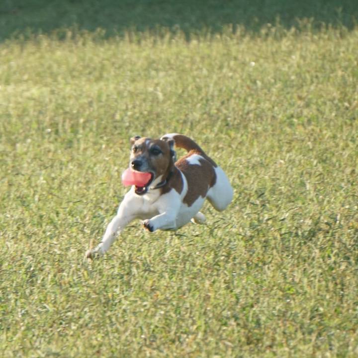 47d2b041 f3a1 4f43 a775 a431808d4def 1602543994938