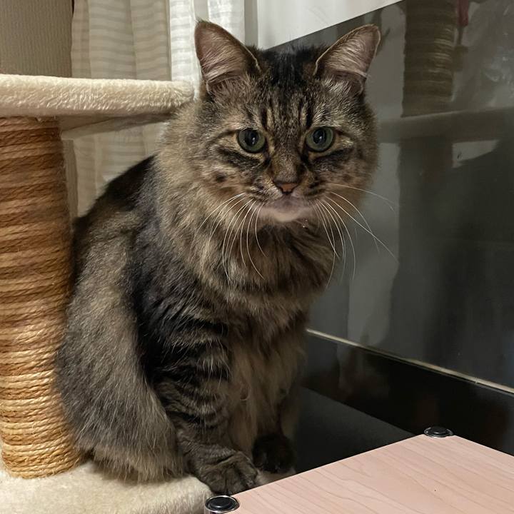 47d2bcef 8e97 40da 98f1 e5b589e08ccd 1764042834316