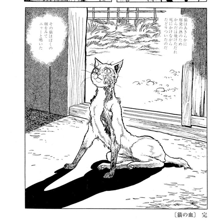 47d2c223 579e 4fc7 9155 6cf7fc2014e4 1691545348039