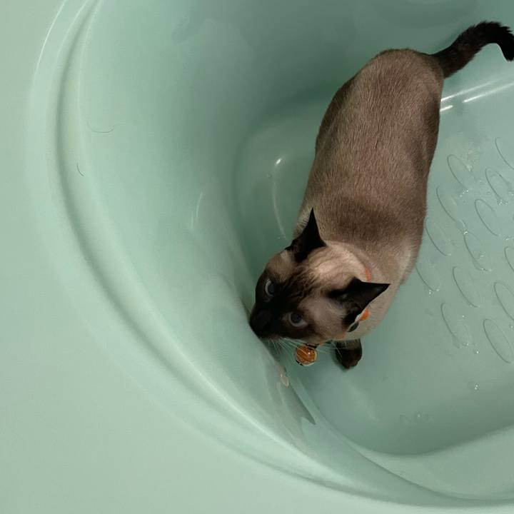 47d2c3fe d67b 4821 95a1 dcafb9dc9674 1729799894731