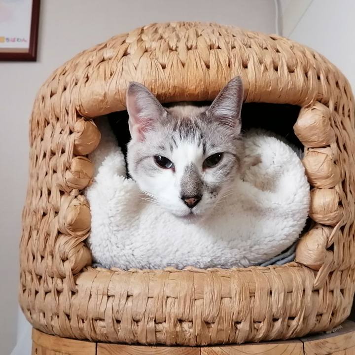 47d2f8eb 683c 4dbe bb3f 057cbd14bfda 1610441799726