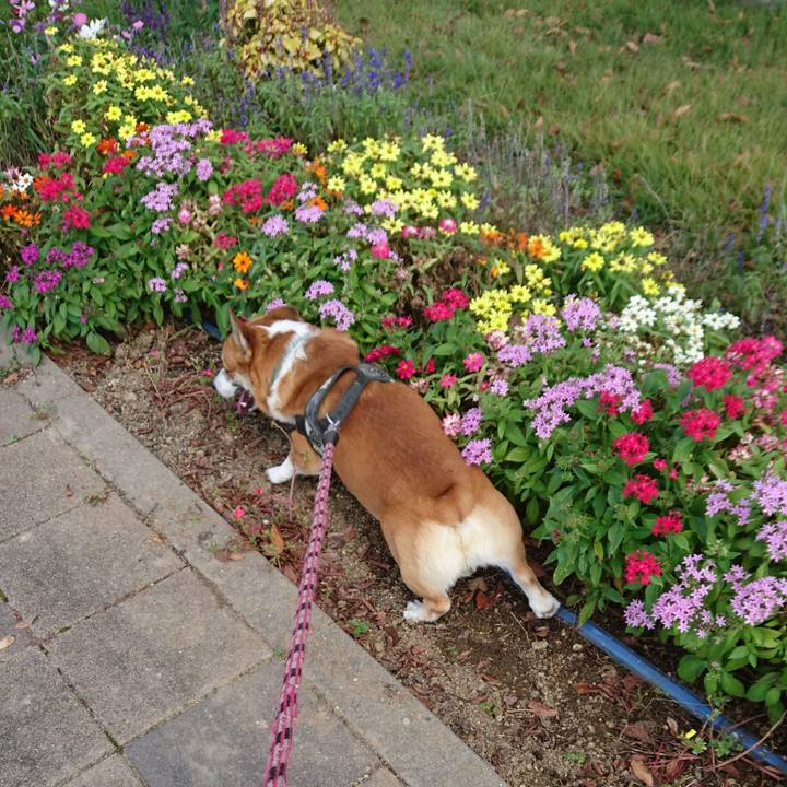 47d305e5 ede5 451d 99df ac3bbcb1fe32 1633759707065