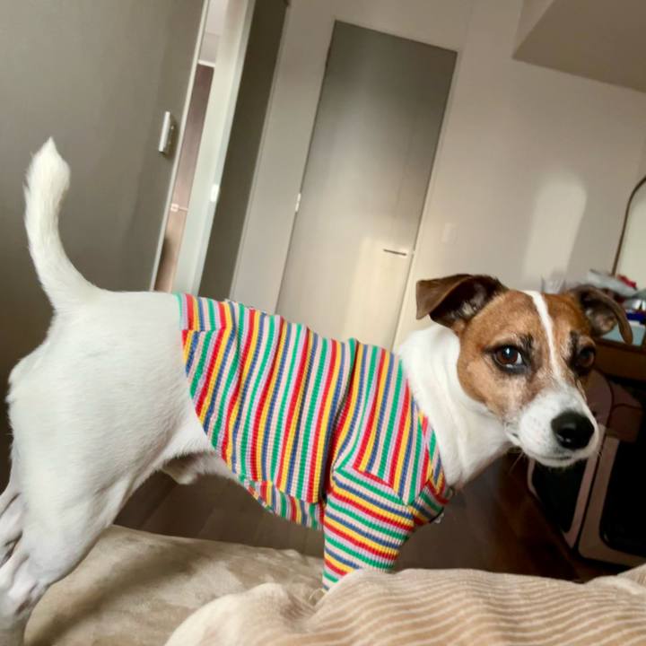 47d31294 707b 4955 a3d5 cb81f9ae35c4 1740745335360