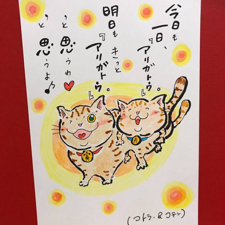 47d31324 bd72 45f0 8cd9 51e4ee82a866 1549805389023