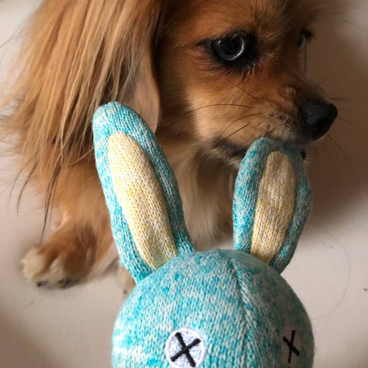 47d317a8 3bce 47fb 8e34 f22c53a5d515 1570847184144