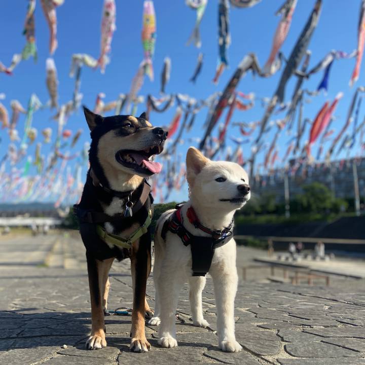 47d3a69a 3e21 4422 9ab3 43d8fa8659e0 1714771001552