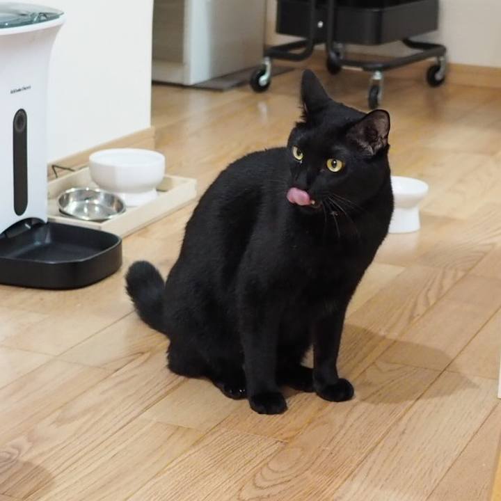 47d3c450 50e6 4aac 9e55 e71f522ca7bd 1545039158173