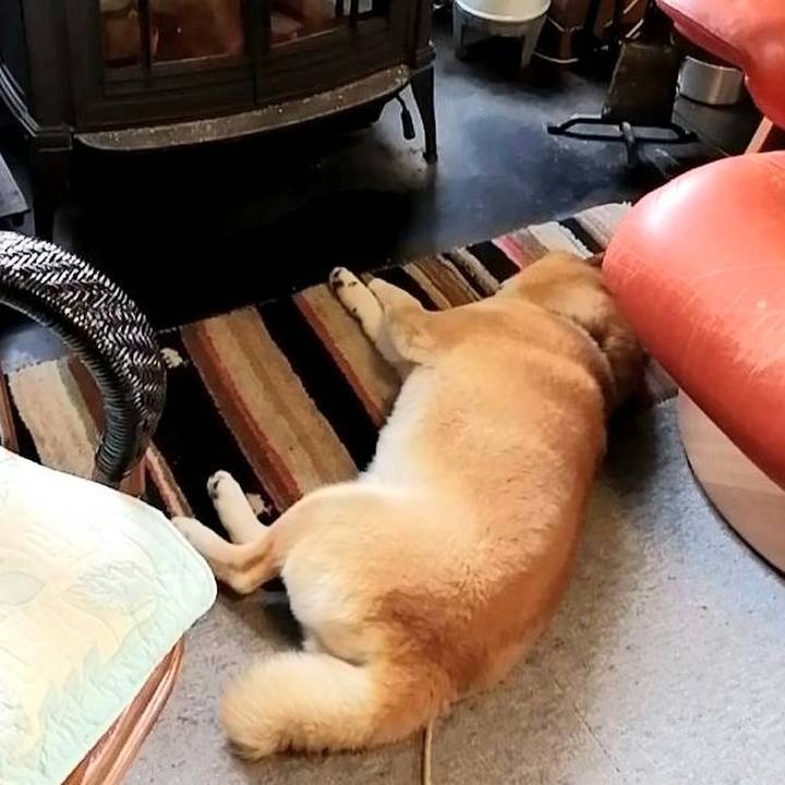 47d3cf7b 41ea 49a0 a069 05436b18b2cf 1588992166634