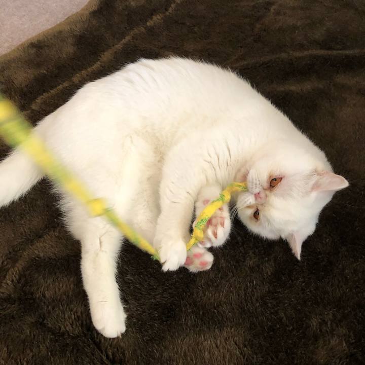 47d3f538 d26f 4639 acd4 985181cc325a 1620090594854