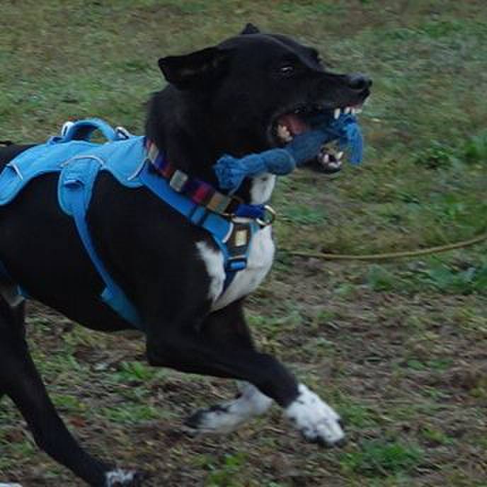 47d3f9f5 bb43 47b0 a06c f8e609fce67e 1636505500174