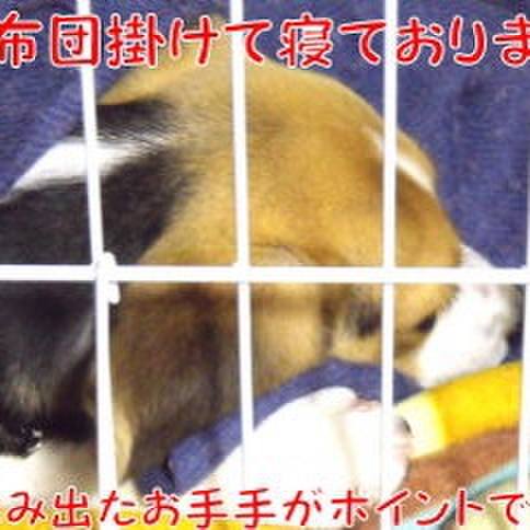 47d413ec 3451 4972 b4b2 15b005683d4e 1680236379750