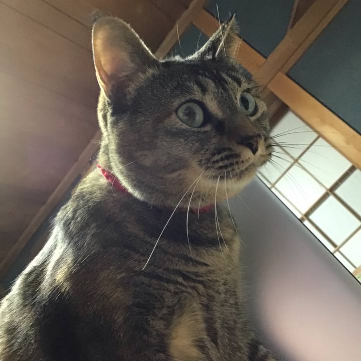 47d46356 bdff 428c 8160 46f44dfa1d29 1671976150105