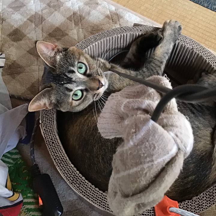 47d499db 8a24 4fc2 b4e2 a276a8a3f03f 1607649422332