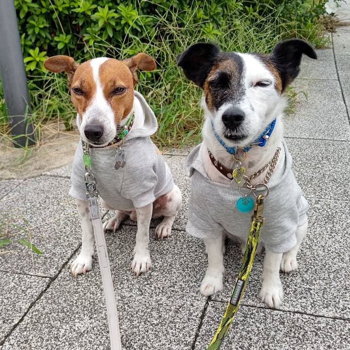 47d4eff0 98b1 43c3 b687 4974d5d4e9cd 1662852231641