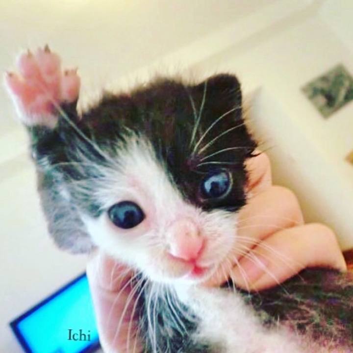 47d5269a 63ac 4e9b a014 d821d27b5f15 1637450613642