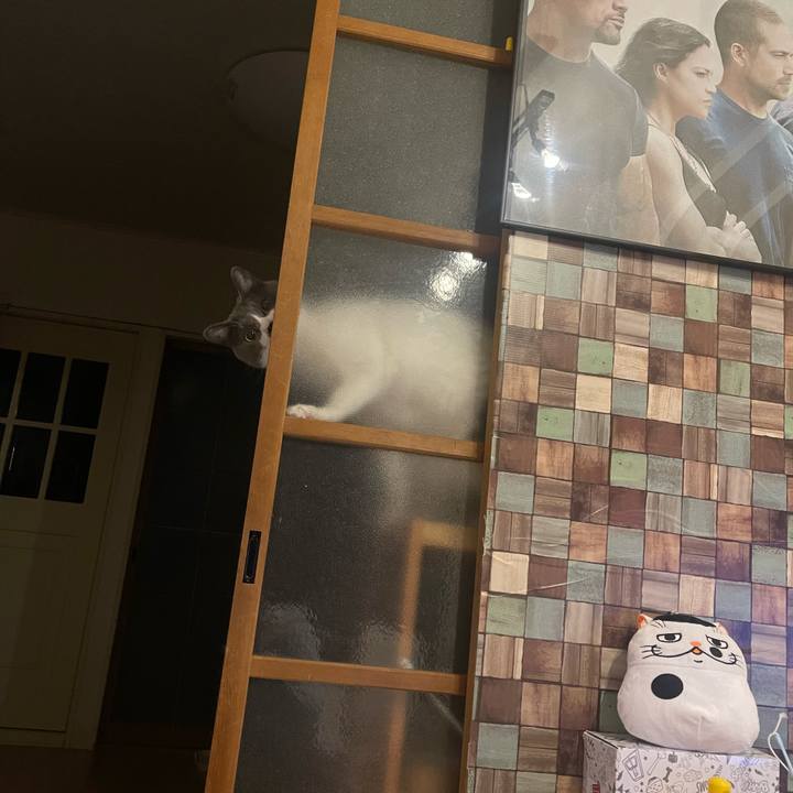 47d552fd c859 48de bff5 a7866f6d51ad 1676387218102