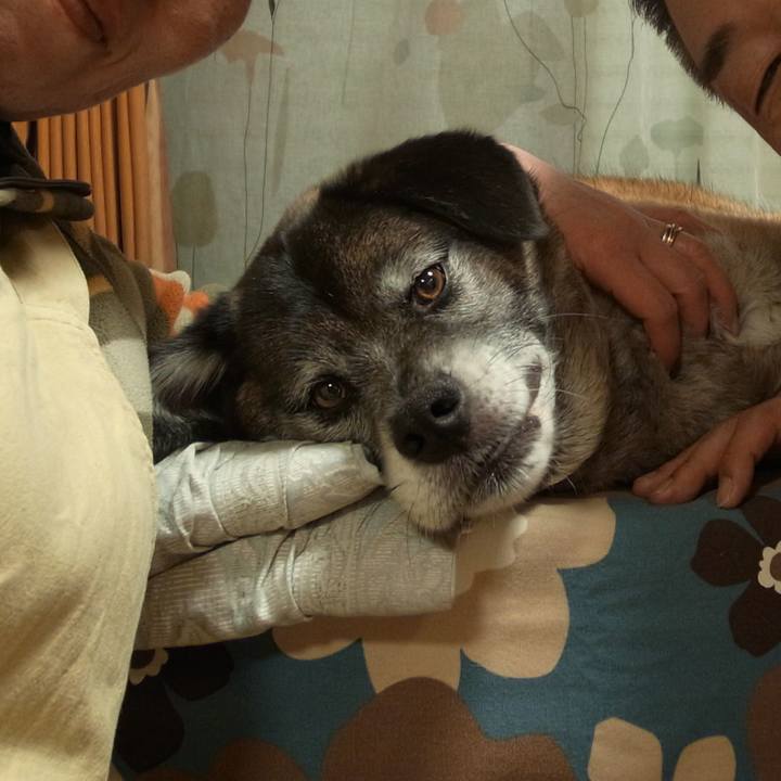 47d5980d a0ef 4337 80c0 e382d7a2897a 1585386532641