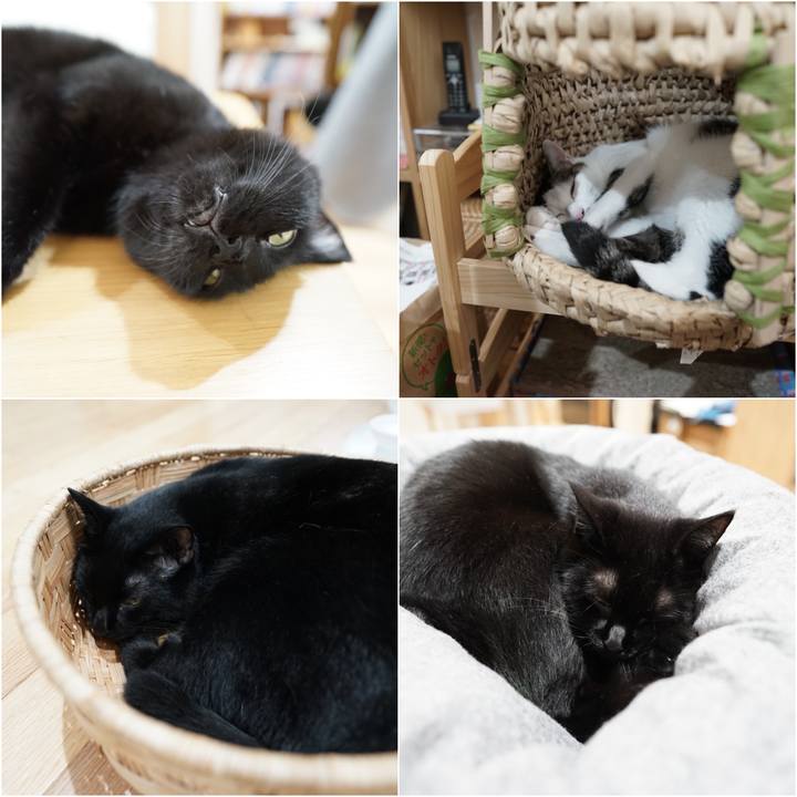 47d5a147 1993 49c5 a3ef fb3ca5291505 1566172014537