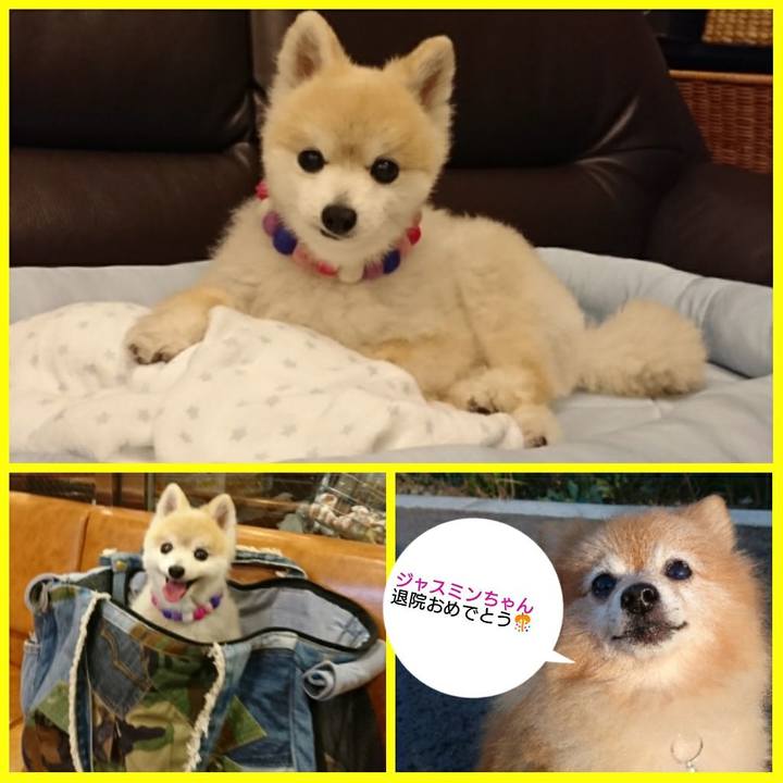 47d6393d 48b0 4ddd b62d 0a8be1f1c515 1509914453587