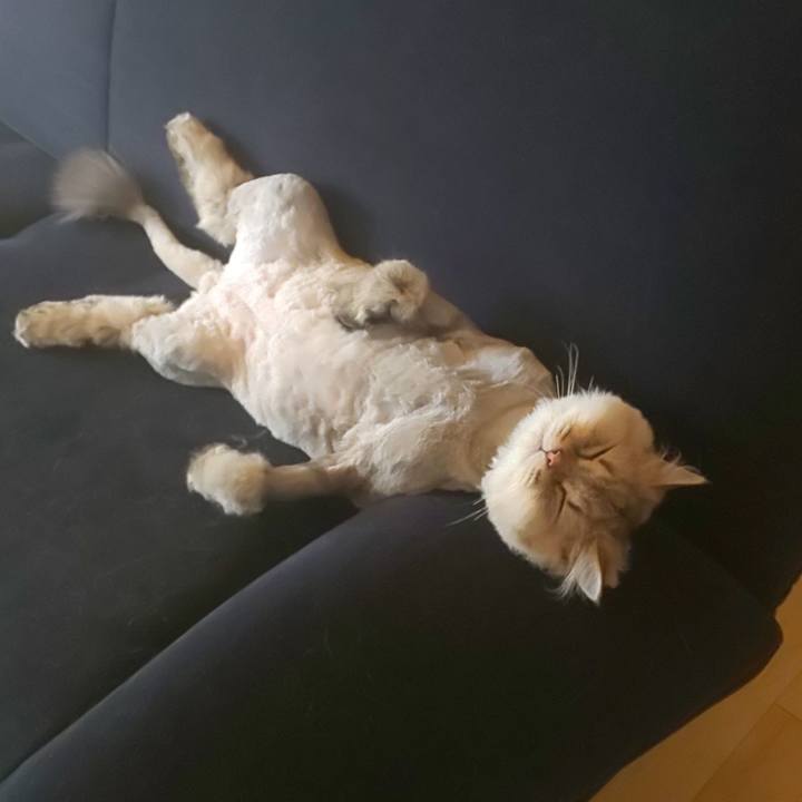 47d6698f 5e22 41f3 8fe6 948f2ee6b20e 1597634760750