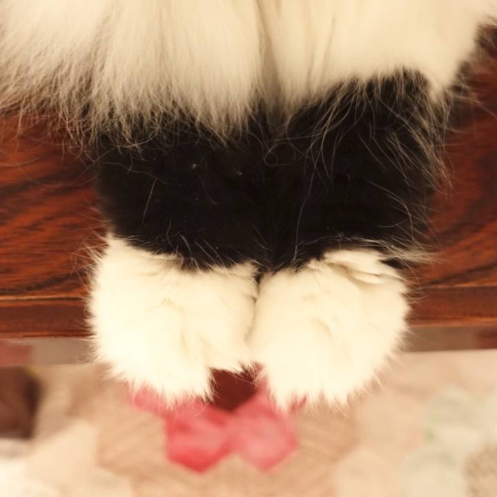 47d669e7 70f1 4d2b b132 d1f3be65825f 1557929221778