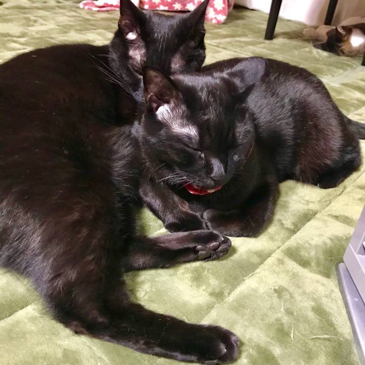 47d6965c b201 43c1 8f21 26f0e04f84ee 1515580783414