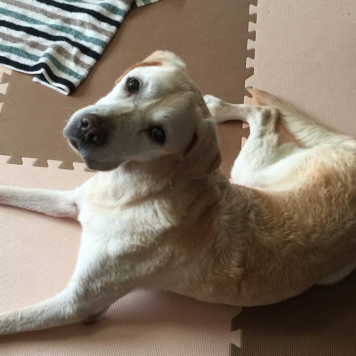 47d6a82e ad85 4e78 ad64 7914f1d87a7e 1540957410455