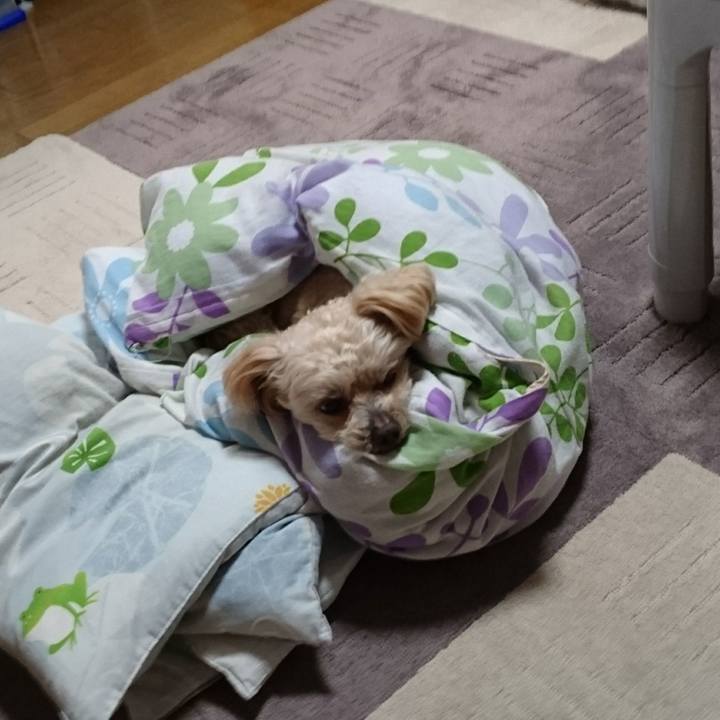 47d75410 d983 4782 9a4f 553f59335de8 1617948864411