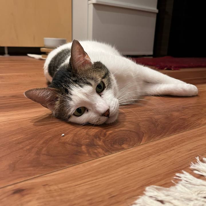 47d75d42 f100 4325 951f 8fd06f8ada55 1764158356581