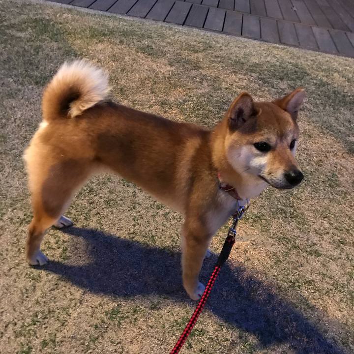 47d77b28 f170 4dc3 8f0b 66e772c6da78 1522758037804