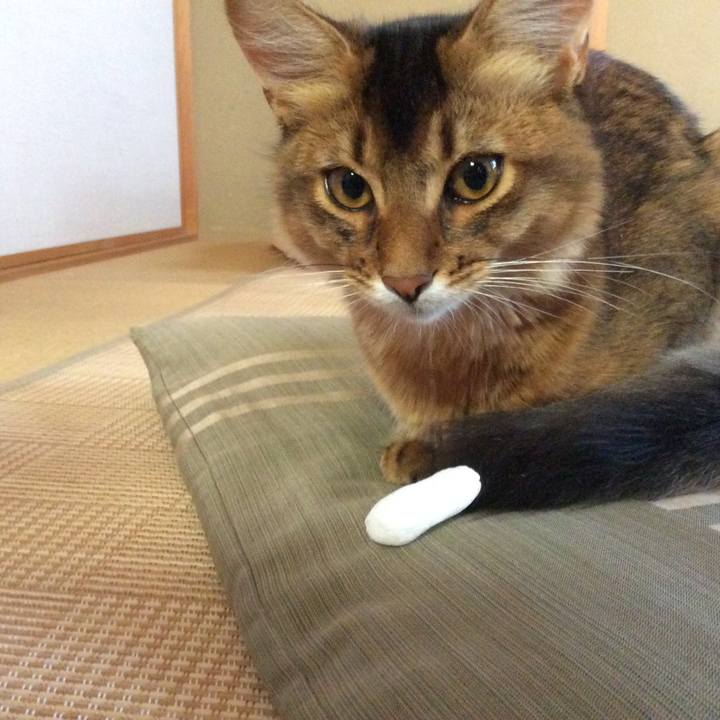 47d789b1 cee8 4ed6 b24f eac1a782eeaa 1564390024726