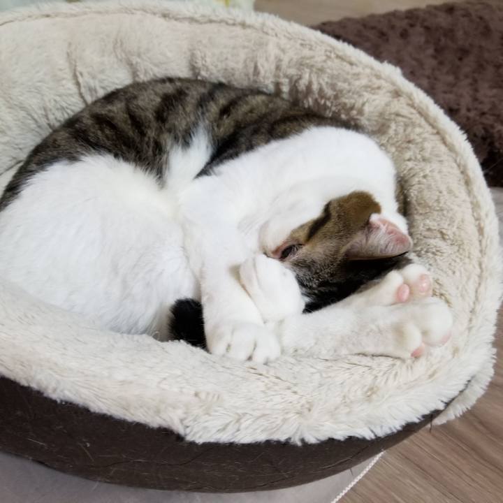 47d791ee 1954 4bc6 a9ab a9232e4f0b3c 1612784754836