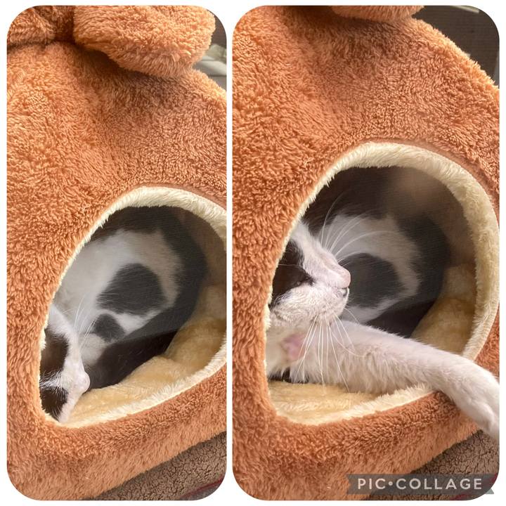 47d79516 11c9 4220 8734 3e19701fc86d 1771134900275