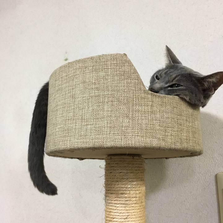 47d7bb60 6fea 4346 91e2 4737b6cd312e 1598093788753