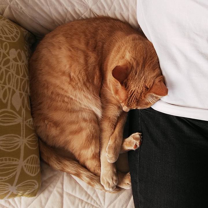 47d7bd7b c1f0 48a7 8098 7b73900cf727 1683000988185