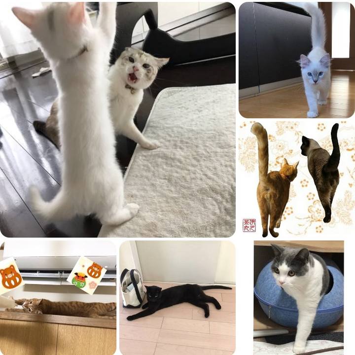 47d7d5f9 85f9 4c28 8e8c 2b4686f2263b 1549710654269