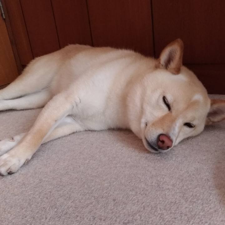 47d7e206 a77c 45eb 882b 65f6537a588d 1558998585473