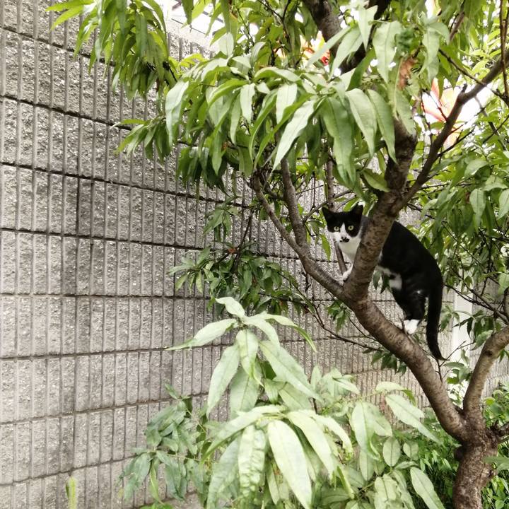 47d7e57a 126d 4fa5 b225 d24354d861f7 1566472602729