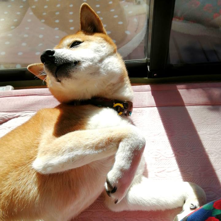 47d7eb6c 8687 44a2 b983 e916a5ce1c3a 1676514650025