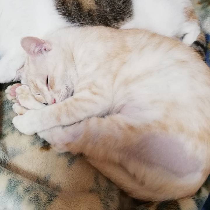 47d7f9e8 a6da 4c51 943e 878202f2837b 1604745089202