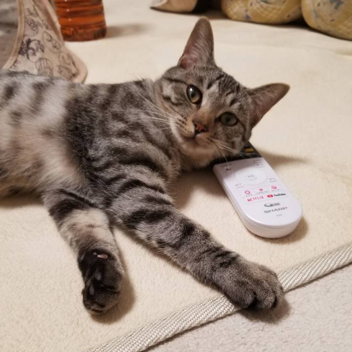 47d7fee4 d0be 466c ac1a af95b4e99721 1678877202845