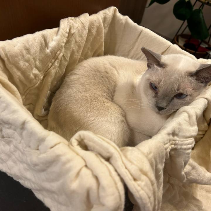 47d805e3 562c 4230 a3ab f2e830adc455 1736773920067