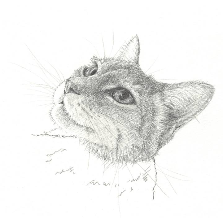 47d830c8 f347 4c93 b391 c556209b0974 1549891980046